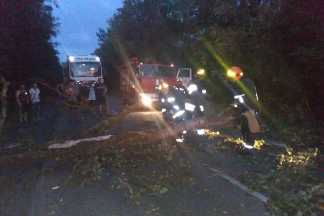 На Шепетівщині впало дерево та перекрило рух на автодорозі