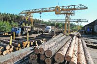 Завдяки збільшенню ціни газу шепетівські лісівники отримують більші прибутки