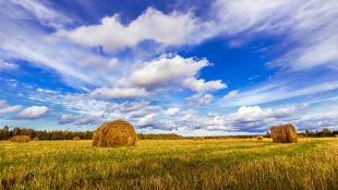 Виправна колонія незаконно здавала в оренду землі та майно вартістю мільйон гривень