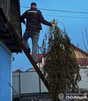 Викрили роботу нарколабораторії з прибутком у півмільйона гривень