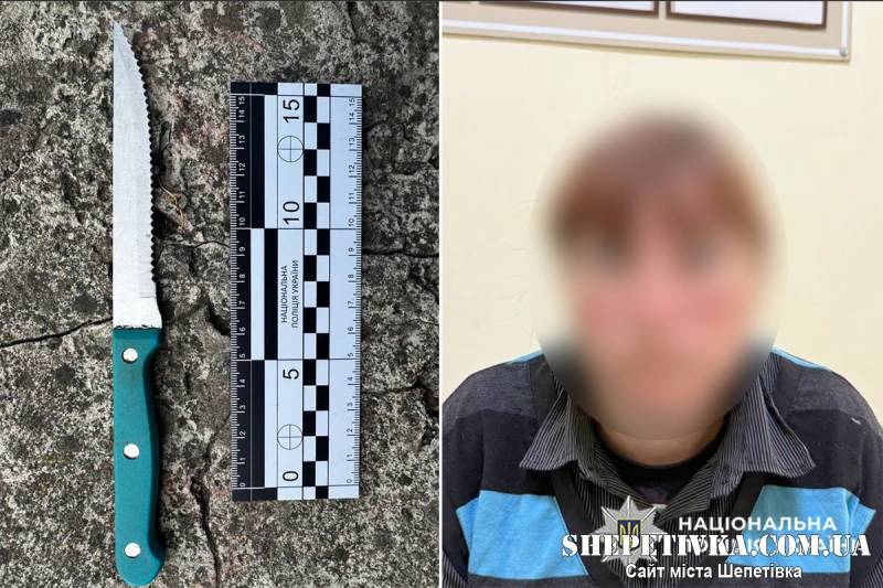 Устромила ніж у живіт знайомій: на Шепетівщині 37-річну жінку взяли під варту